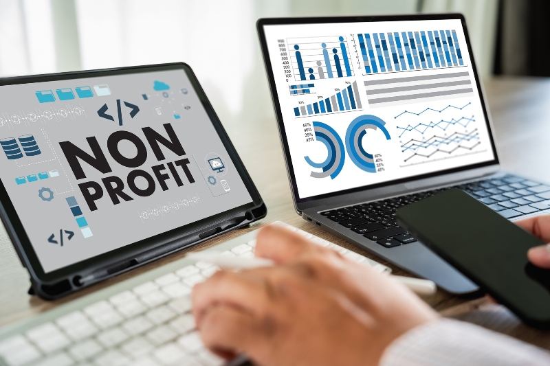 non profit organisation (npo) administration